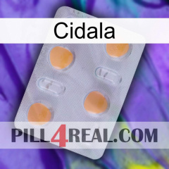 Cidala 24